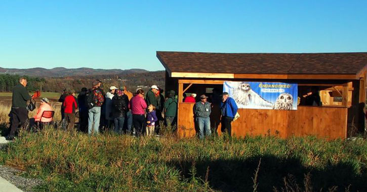 Bird Viewing Area