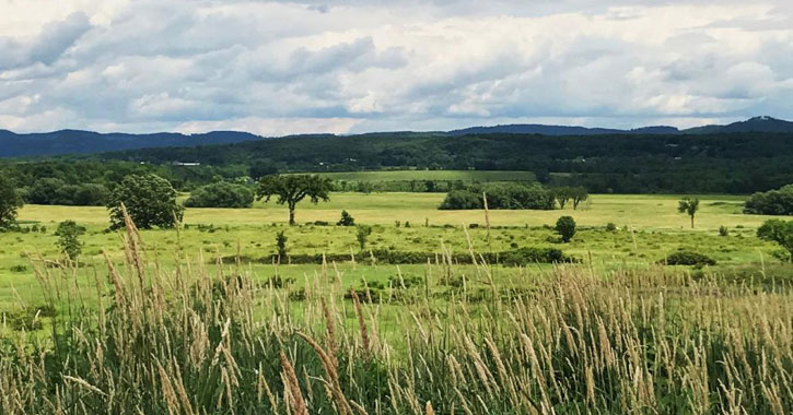 Washington County Grasslands