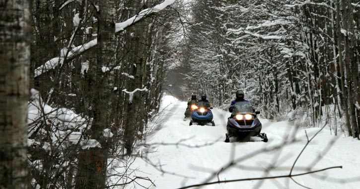 line of snowmobilers going down a trail