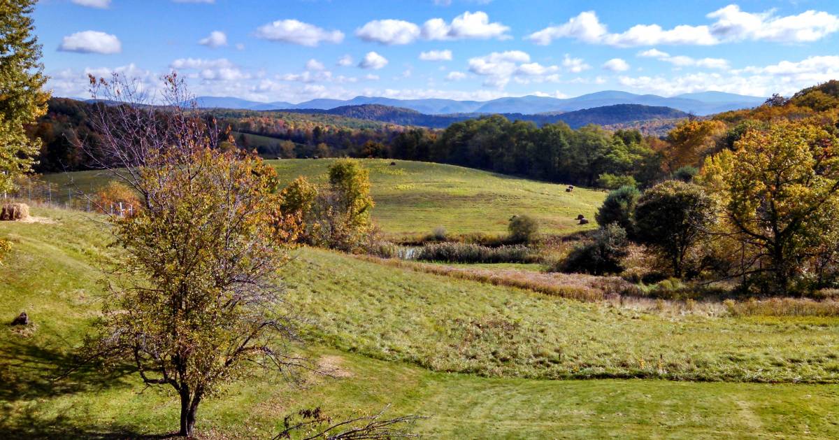 view of farmland and trees