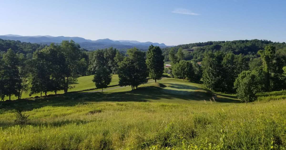 view of grassy field and trees near golf course