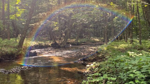 Creek-with-Rainbow-scaled