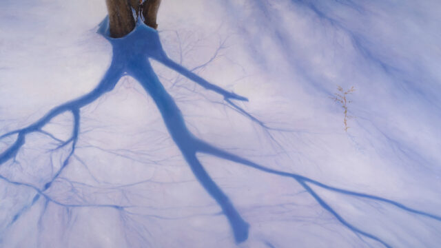 Shadows-in-the-Snow-scaled