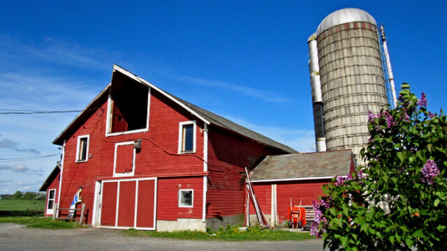 Barn-in-spring-scaled