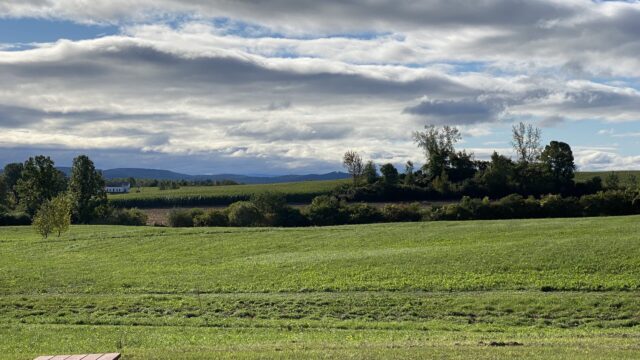 Farm-View-scaled