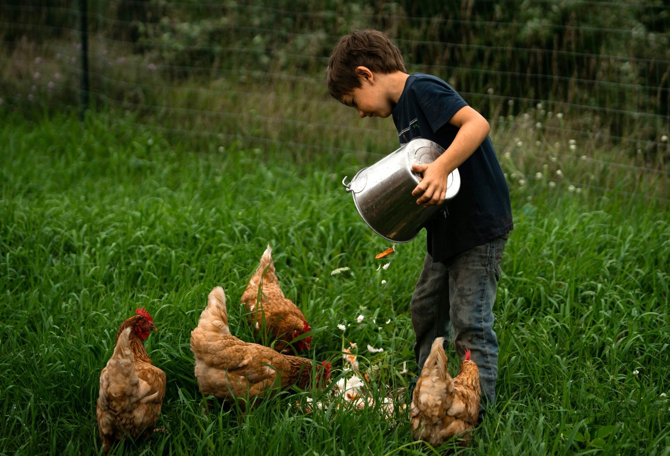 Southern Adirondack Homesteading Festival: April 25-27, 2025