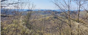 view from top of trail