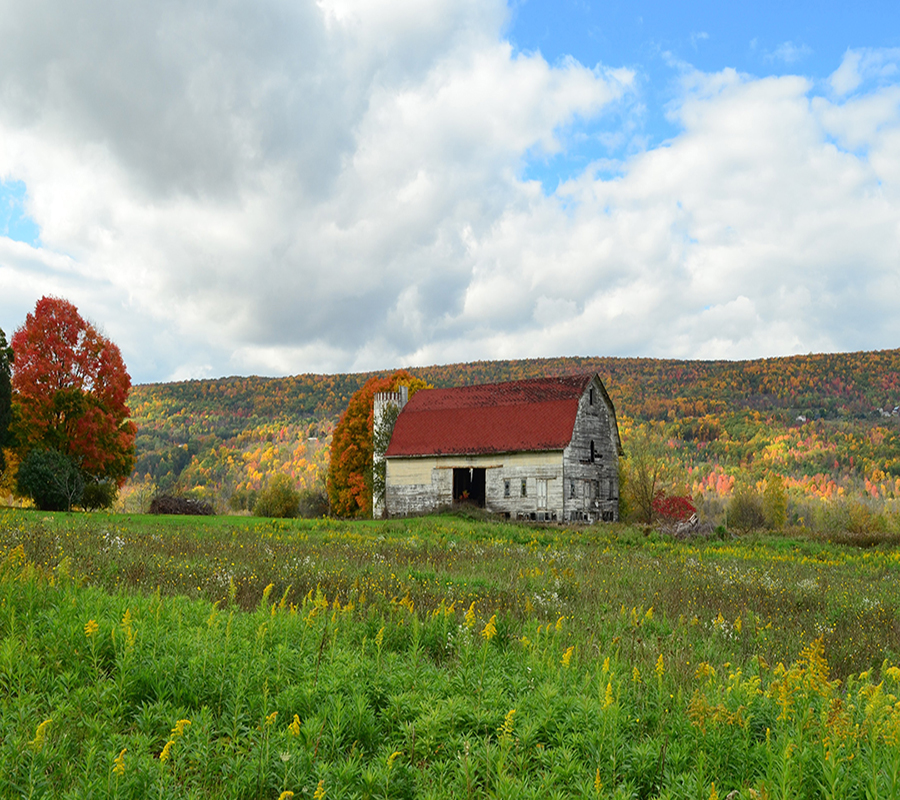 A barn house on an empty Field