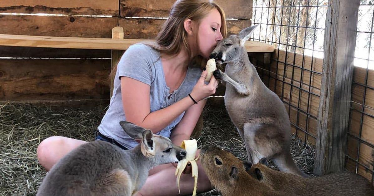 woman with kangaroos