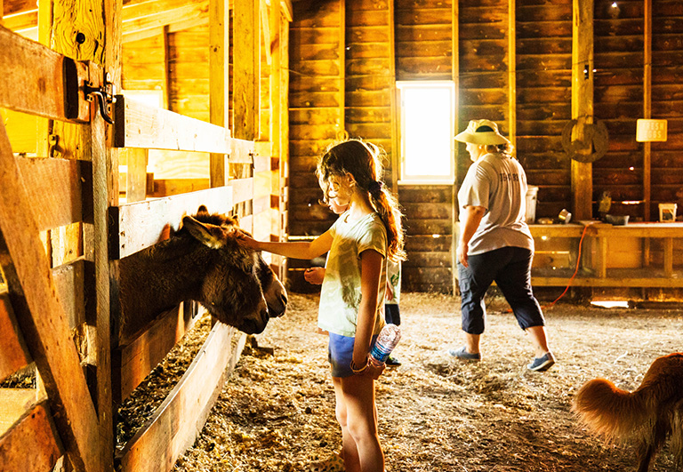 Blind Buck Valley Farmstead: one of the farm stays in upstate New York