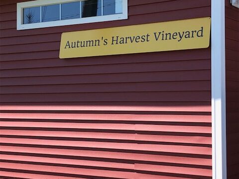 Autumn’s Harvest Vineyard