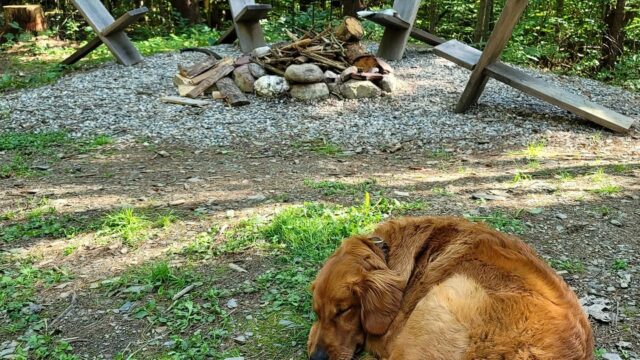 Slateville Farm Secluded Camps