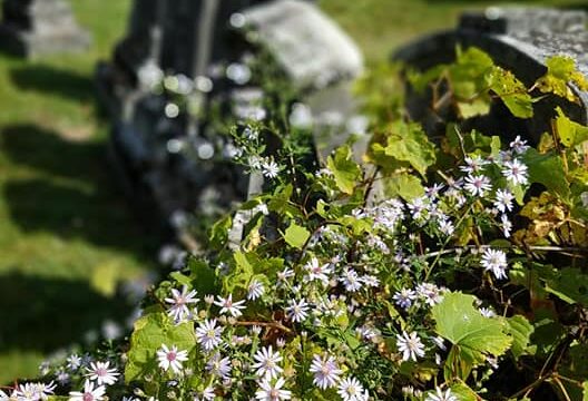 Evergreen Cemetery