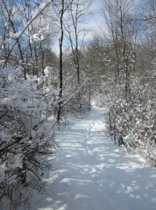 Pember Nature Preserve