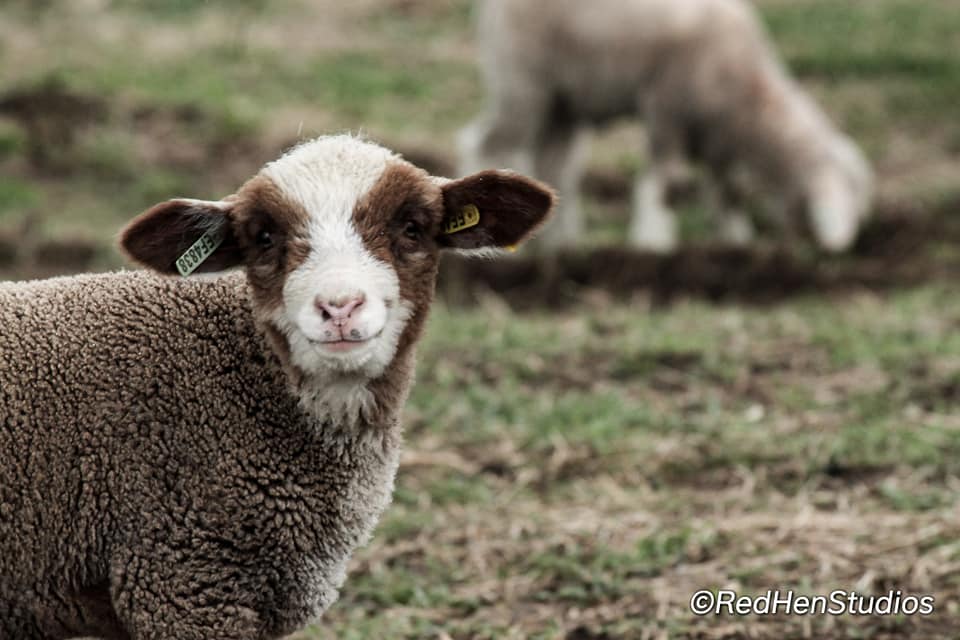 305767563_600142321636155_2897968250187924855_n