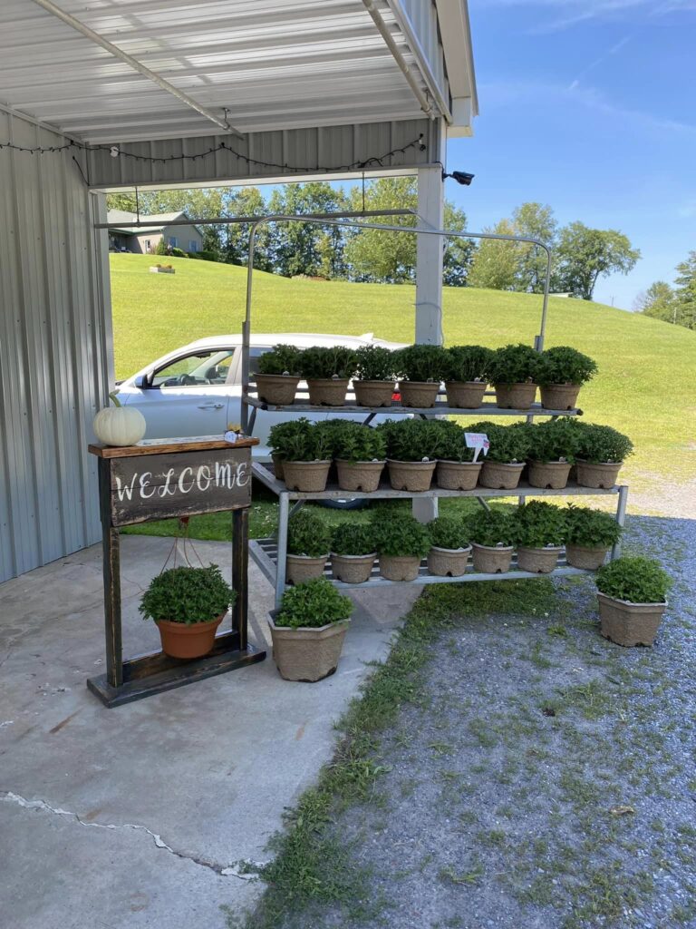 365674978_612660577644936_3550803524853001514_n