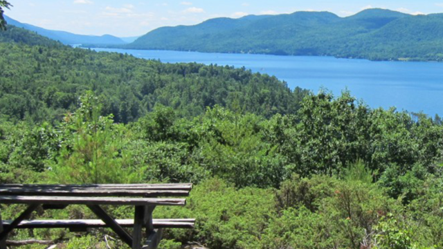 Gull Bay Preserve – Lake George Land Conservancy