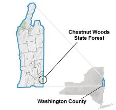 Chestnut Woods State Forest