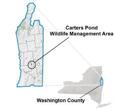 Carters Pond Wildlife Management Area