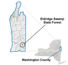 Eldridge Swamp State Forest