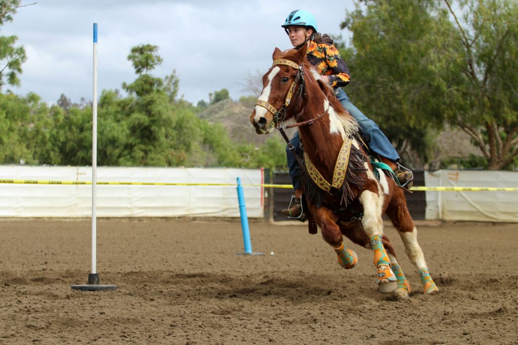 girl and horse barrel racing, one of the most popular equestrian sports. A great example of equine tourism.