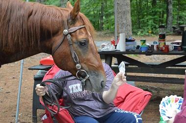 Lake George Wild Forest Horse Trails