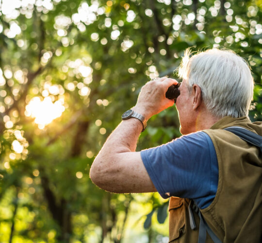 Elderly,Man,Watching,Birds,With,Binoculars