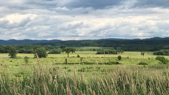 Grassland Bird Trust, Inc.