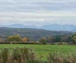 Spring Views Bus Getaway Among Rolling Farm Land