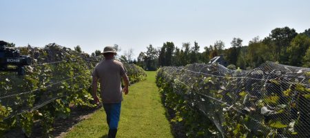 BKD_0185(3) BKD_0185(3)