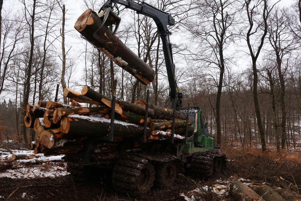 Timber harvesting, one of the key industries in Washington County NY